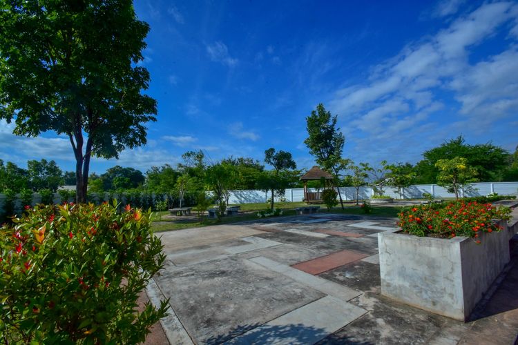 ภาพแบบบ้าน-Calla lily