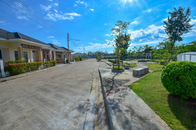 ภาพแบบบ้าน-Calla lily