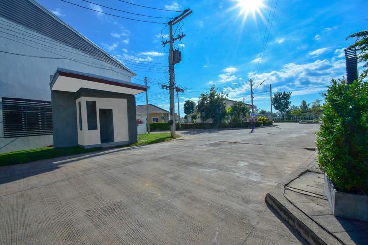 ภาพแบบบ้าน-Calla lily