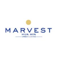 มาร์เวสท์ หัวหิน - Marvest Hua Hin