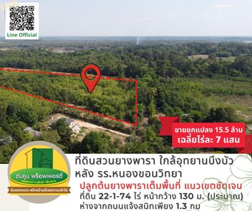 ขายที่ดินสวนยางพารา 22-1-74 ไร่ หลัง รร.หนองขอนวิทยา ใกล้อุทยานบึงบัว หนองช้าง เมืองอุบล หนองขอน เมืองอุบลราชธานี T3hY1LJD