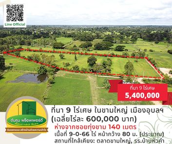 ขายที่นา 9 ไร่เศษ ในเมืองอุบล โซนขามใหญ่ ชยางกูร ฝั่งขามใหญ่ - ซอยเทคโน YpTahHjI