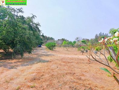 ขายที่ดิน ที่ดินขอนแก่น แดงใหญ่ oT9CSDGX