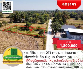 ขายที่ดินขนาด 211 ตร.ว.  เดินทางสะดวก เหมาะสำหรับปลูกสร้างบ้าน ซอยเยื้องฟาร์มฮัก ป.อุบล บ้านทุ่งเกษม แจ้งสนิท - ศาลากลาง - ท่าบ่อ 2dPQdyO8