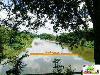 ขายที่ดิน ที่ดินขอนแก่น วังชัย น้ำพอง RaHmf9RC