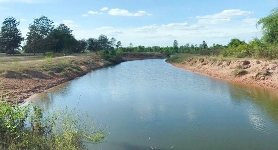 ขายที่ดิน ที่ดินขอนแก่น ถนนมะลิวัลย์ q5PbIVes