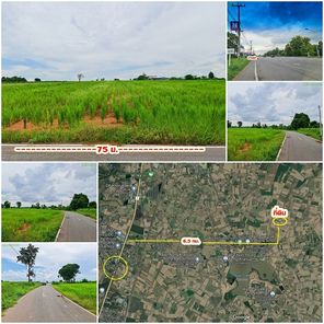 ที่ดินติดถนน.พื้นดินสูงกว่าถนน เดินทางสะดวกมาก ท้ายหมู่บ้านหนองเตย ห่างตัวเมืองขอนแก่น 15 กม.เท่านั้น ท่าพระ - หนองบัวดีหมี iVWoBDgJ