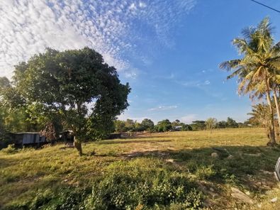 ขายที่ดิน3ไร่ครึ่งแบ่งหรือยกแปลงได้ บ้านผือ ต.พระลับ ดอนบม - โนนตุ่น - บายพาส Xcm1Yiyf