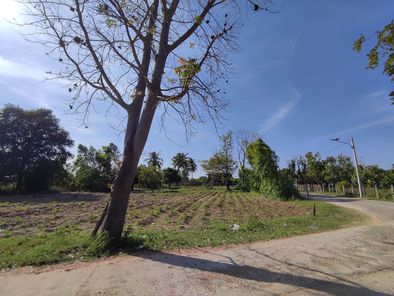 ขายที่ดิน ป่าปอ บ้านไผ่ Vdu5a5kP