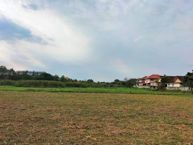 ขายที่ดิน #หนองสำโรง บ้านเลื่อม-บ้านบ่อน้ำ-เชียงยืน P42pBUiI