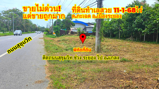 ขายถูกมาก!ที่ดินระยอง อ.เมือง 11-1-68ไร่ ติดถนนสุขุมวิท ทางไป อ.แกลง หน้ากว้าง ประมาณ 50 เมตร เพ-แม่รำพึง-กะเฉด HpxPsIFS