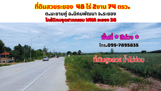ขายที่ดินระยอง 48-2-74ไร่ มะขามคู่ อ.นิคมพัฒนา พื้นที่ *สีม่วง* ใกล้นิคมอุตสาหกรรม WHA ระยอง 36 นิคมฯ-มาบข่า-เขาโบสถ์ 5EsYvY2r
