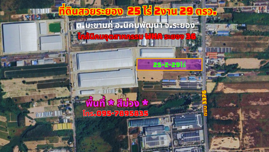 ขายที่ดินระยอง 25-2-29ไร่ มะขามคู่ อ.นิคมพัฒนา สาย 13 พื้นที่ *สีม่วง* ใกล้นิคมอุตสาหกรรม WHA ระยอง 36 นิคมฯ-มาบข่า-เขาโบสถ์ 2zX67Ogt