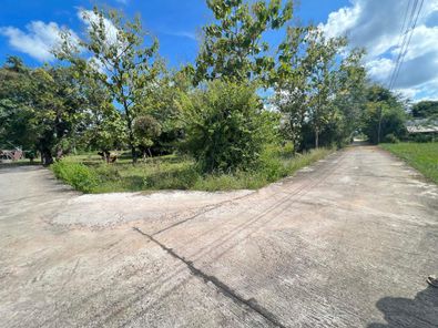 ขายที่ดินบ้านหัวคำ ชยางกูร ฝั่งขามใหญ่ - ซอยเทคโน p91CJNFR