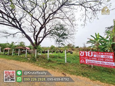 ขายด่วนที่ดิน 262 ตารางวา ทำเลใจกลางเมือง ต.อิสาณ อ.เมืองบุรีรัมย์ จ.บุรีรัมย์ KRUK95021 สนาม ช้างอารีน่า f2pg4o1p