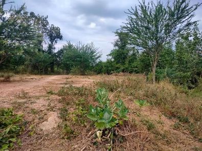 ขายที่ดิน 2 งาน ใกล้ตลาดโนนทัน บึงแก่นนคร ดอนบม - โนนตุ่น - บายพาส WWPUYPcC