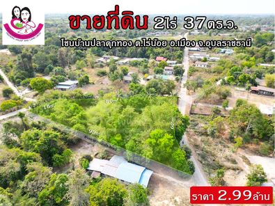 ขายที่ดินเปล่า ทำเลดีมากแปลงหัวมุม ห่างจากถนนเลี่ยงเมือง 1กม. โนนหงษ์ทอง - อุบลฯ ตระการ 6zx54z2c