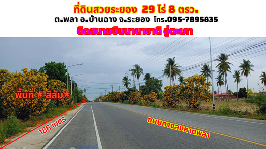 ขายที่ดินระยอง พลา บ้านฉาง 29ไร่ 8.8 ตรว. ติดสนามบินนานาชาติอู่ตะเภา ติดถนนลงหาดพลา บ้านฉาง-หาดพลา-หาดน้ำริน-อู่ตะเภา v6IZsDn1