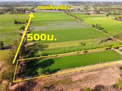 ขายที่ดินขอนแก่น ใกล้ถนนเลี่ยงเมือง ต.บึงเนียม วงแหวนรอบใน โคกสี - บึงเนียม pPqBNZSS