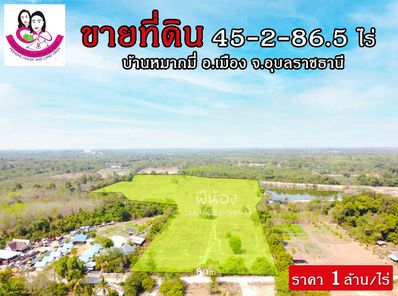 ขายที่ดินแปลงสวย ห่างจากถนน4เลน เพียง 500เมตร โนนหงษ์ทอง - อุบลฯ ตระการ Uvw852eV