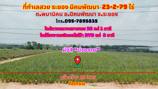 ขายที่ดินระยอง นิคมพัฒนา 23-2-79ไร่. ผังสีม่วงลาย ใกล้ทางหลวงสาย 36 ใกล้นิคม WHA ระยอง36 แค่ 8นาที นิคมฯ-มาบข่า-เขาโบสถ์ aEYYlEuy