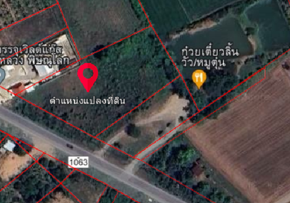 ขายที่ดินวัดพริก ติดก๋วยเตี๋ยวลิ้นวัว 2 ไร่ 3 งาน 98 ตร.ว สนามบินพิษณุโลก-บึงพระ ynx7VCyb