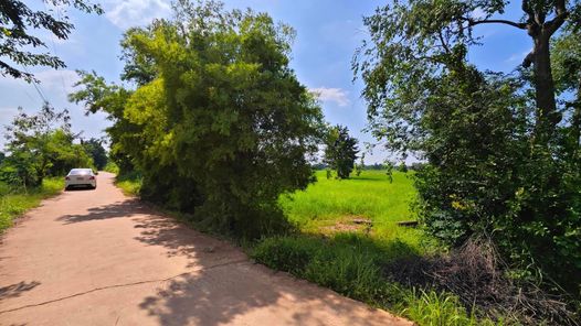 ขายที่ดิน 2 ไร่ เหมาะทำบ้านสวน ท้ายหมู่บ้านหนองทุ่ม ต.บ้านหว้า อ.เมืองขอนแก่น จ.ขอนแก่น บ้านหว้า เมืองขอนแก่น T0RuyAOz