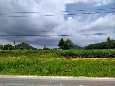 ขายที่ดินระยอง นิคมพัฒนา 47-2-96ไร่ ใกล้นิคม WHA โรงงานผลิตรถยนต์ไฟฟ้า BYD นิคมฯ-มาบข่า-เขาโบสถ์ XqGX22x4