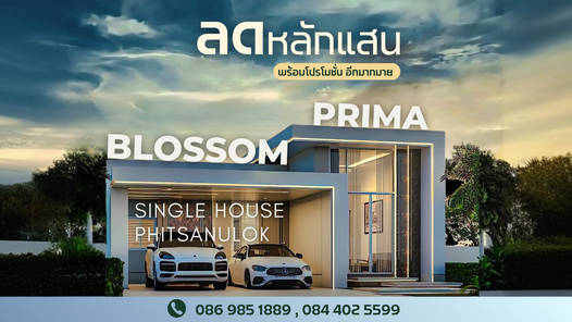 บลอสซั่ม พรีม่า - Blossom Prima