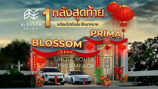 บลอสซั่ม พรีม่า - Blossom Prima