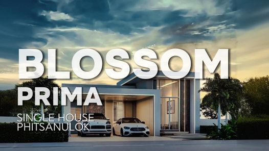 บลอสซั่ม พรีม่า - Blossom Prima