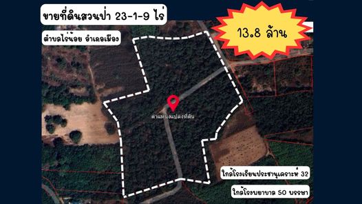 ขายที่ดินสวนป่า-ไร่น้อย โนนหงษ์ทอง - อุบลฯ ตระการ 3WoxSNmU