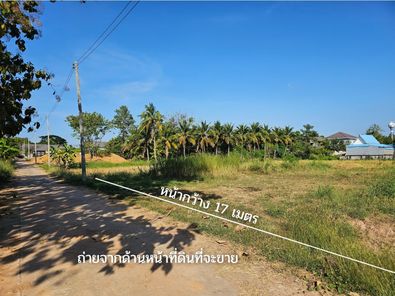 ที่ดินเปล่า 100ตารางวา ห่างตลาดหนองกุง ซีเจมอร์ เซเว่น 500เมตร ศิลา - โกทา - หนองไผ่ whice7NO