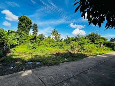 ขายที่ดิน เจริญศรี - มหาวิทยาลัยอุบลฯ TqucG8xy