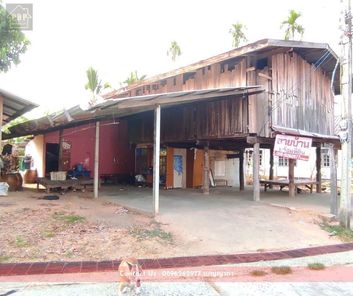 ขายที่ดิน สนม สนม สนม wdXUHq6G