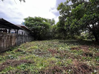 ขายที่ดินซอยชยางกูร42 เซ็นทรัลฯ-ราชภัฏ-สวนวนารมย์ QxXkrT7q