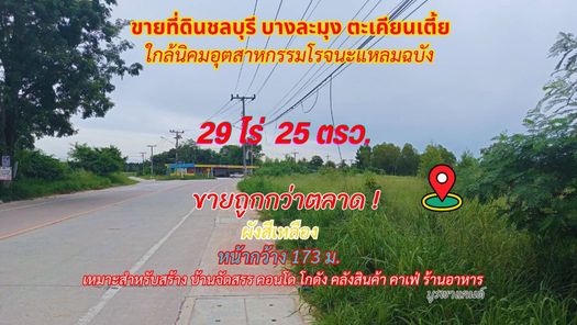 ขายที่ดินชลบุรี บางละมุง ตะเคียนเตี้ย 29 ไร่ 25ตรว. ใกล้นิคมอุตสาหกรรมโรจนะแหลมฉบัง แยกกระทิงลาย นาเกลือ โรงโป๊ะ ตะเคียนเตี้ย 2zcud4Fa