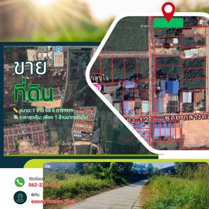 ขายที่ดินกลางเมือง เหมาะสร้างบ้านหรือพัฒนาต่อ แหล่งชุมชน เต็งหนาม SKDqBqY2