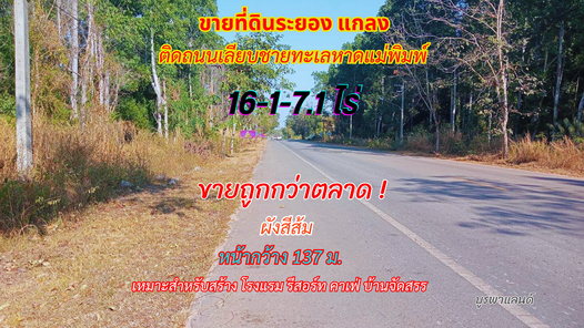 ขายที่ดินระยอง แกลง 16-1-7.1 ไร่ ติดถนนเลียบชายหาดทะเลหาดแม่พิมพ์ สามย่าน-แหลมแม่พิมพ์-ประแสร์-กองดิน 0LM8su4E