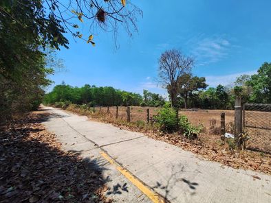 ขายที่ดินบ้านบ่อหวาย ต.กระโสบ ติดถนนคอนกรีต หน้ากว้างสวยเหมาะบ้านสวน กระโสบ เมืองอุบลราชธานี y6I55QfR