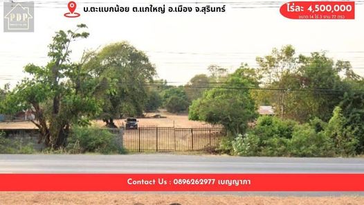 ขายที่ดิน#ติดทรัพย์ ราคาพร้อมจบเสนอมาเลยจ้า 🔥ขายถูก #ติดถนนสาธารณะ #แกใหญ่ ติดถนนเส้นหลัก 214 ท่าสว่าง z3BXhb4v