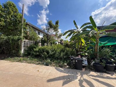 ขายที่ดินเปล่า ชุมเห็ด โกรกขี้หนู lxIdQL8h