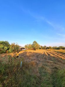 ขายถูกที่ดินแปลงละ590,000 ซื้อ2แปลง เหมาะสำหรับทำบ้านจัดสรรไกล้ห้วยเสนง ห้วยเสนง w0g888yV