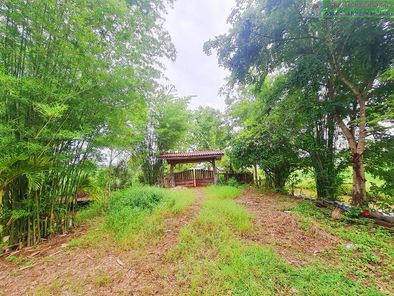 ฿ขายถูกจริงของแท้฿$เพียง1.95ล้าน$ กับ ที่ดินแถมบ้านสวน 2 หลัง(6แสน) เป็นส่วนตัว เงียบสงบ บรรยากาศดี ติดถนนเส้นหลักมัญจาคีรี-แก้งคร้อ เส้น 229 จ.ขอนแก่น