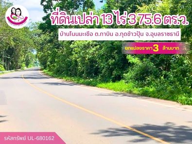 ขายที่ดินไร่นา ติดถนนลาดยาง แปลงใหญ่ โฉนดพร้อมโอน กาบิน กุดข้าวปุ้น ELBd6tsy