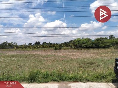 ขายที่ดิน 11 ไร่ 65.0 ตร.วา  เมืองอุบลราชธานี ปะอาว เมืองอุบลราชธานี 0Xq9BI7N