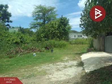 ขายที่ดิน 50ตร.วา อ.สัตหีบ จ.ชลบุรี สัตหีบ กม.10 พลูตาหลวง WZr0uVgJ