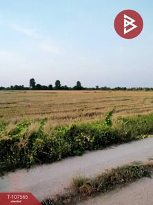 ขายที่ดิน 10 ไร่ อ.นิคมพัฒนา จ.ชลบุรี พนัสนิคม กุฎโง้ง บ้านเซิด 7FhdmDI8