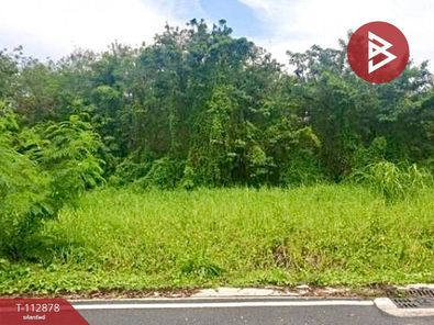 ขายที่ดิน 200 ตร.วา อ.สัตหีบ ชลบุรี สัตหีบ สัตหีบ 7oF4OqK8