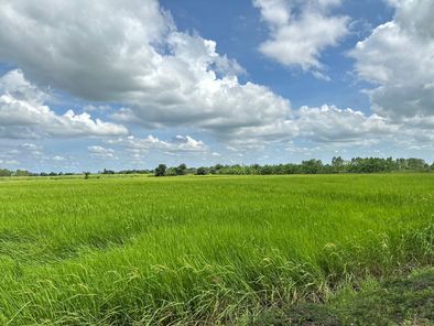 ขายที่นา ติดคลองชลประทาน ใกล้เมืองขอนแก่น – เหมาะทำบ้านสวนหรือทำนา สำราญ เมืองขอนแก่น WNKYOCiN